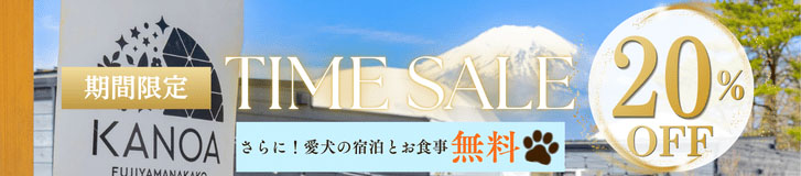 タイムセール20%OFF