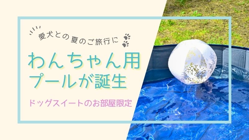 わんちゃん用プール